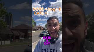 I found the next DOGE coin memecoin doge crypto cate cryptocurrency memecoins dogecoin [upl. by Idoux]