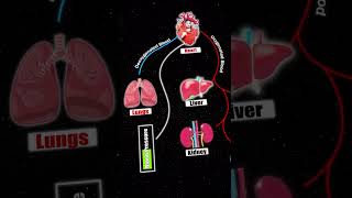 learn about heart neet2024 neetmotivation hearttouching [upl. by Auop]