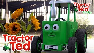 Sunny Seeds🌻  New Tractor Ted Trailer  Tractor Ted Official Channel [upl. by Derr933]