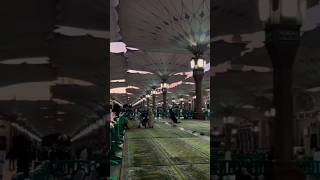 Karam mangta hu ata mangta hu naat shortsvideo beautifulnaatsharif [upl. by Amsirahc]