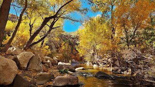 Aravaipa Canyon December 2023 [upl. by Frohne488]