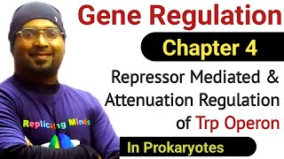 Gene Regulation  4  Trp Operon  Negative Regulation and Attenuation of Trp Operon  Sanjay Kumar [upl. by Stromberg]