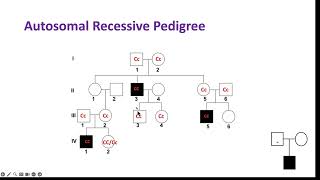 Inheritance part 3  pedigrees [upl. by Snoddy]