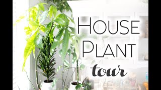 Long overdue Houseplant Tour  5 years later [upl. by Lem]