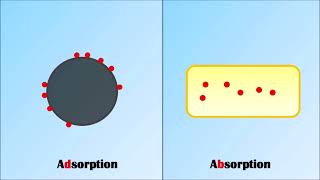 Difference Between Adsorption and Absorption  Absorption Vs Adsorption  Adsorption  Absorption [upl. by Samid]