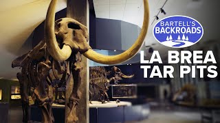 The hidden beasts preserved in LAs La Brea Tar Pits  Bartells Backroads [upl. by Ethe]