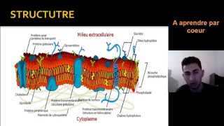 Biologie Cellulaire la Membrane plassmique  الجدار الخلوي [upl. by Morna]