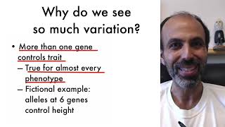 Genetics and Evolution  41 Single Gene Variation [upl. by Avalsorim]