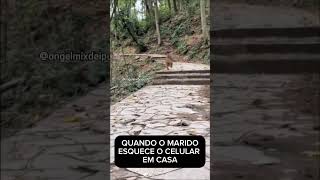 Macaco corre em pé dublado [upl. by Nylazor]