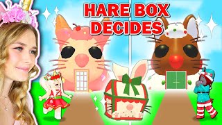 NEW Hare Box DECIDES What We BUILD In Adopt Me Roblox [upl. by Goodill]