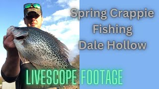 Spring Crappie Fishing on Dale Livescope Footage HD 1080p [upl. by Aljan]