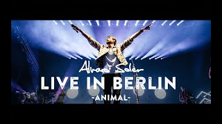 Alvaro Soler  Animal Live in Berlin [upl. by Stauder]