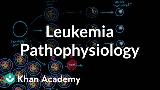 Leukemia pathophysiology  Hematologic System Diseases  NCLEXRN  Khan Academy [upl. by Dolli]