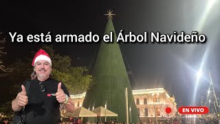 En vivo Ya está armado Árbol gigante del Centro Histórico elsalvador [upl. by Regdor]