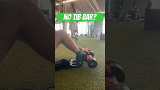 Weighted Tibialis Raise WITHOUT Tib Bar [upl. by Haodnanehs]