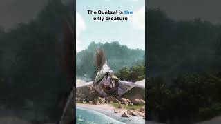 3 THINGS about the Quetzals in ARK  Survival Ascended [upl. by Lewert]