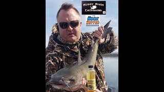 Madison Wisconsin Lake Mendota Channel Catfishing with Hooksetter USA [upl. by Bracci]