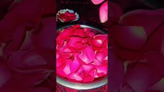 Homemade Gulabjal rose water at homeshortsshortsvideotrending [upl. by Dylane]