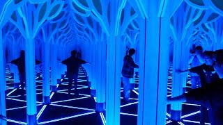 Mirror Maze at the Chicago Museum of Science and Industry [upl. by Ahsikar]