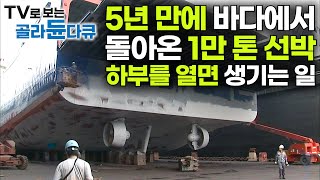 바다 위에서 5년 1만 톤 급 대형 선박 정기 점검받으러 돌아왔습니다｜겉부터 속까지 항목만 수 백여가지｜8일간의 수리 대장정｜한국의 선박 수리 조선소｜극한직업｜골라듄다큐 [upl. by Yaf]