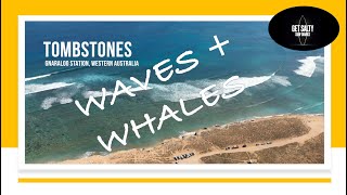 Waves  Whales  Tombstones Gnaraloo Station [upl. by Ahsrop]