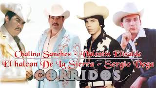 Valentin Elizalde Sergio Vega Chalino Sanchez El halcon De La Sierra Mix Corridos [upl. by Damarra692]