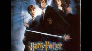 Harry Potter and the Chamber of Secrets Soundtrack  13 Fawkes Is Reborn [upl. by Einyaj]