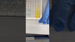 Simple ELISA TEST [upl. by Annohs387]