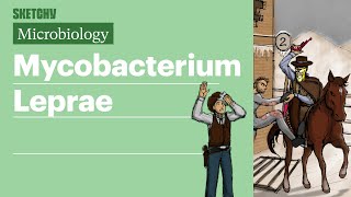 Mycobacterium Leprae Microbiology  USMLE Step 1  Sketchy Medical [upl. by Ewan]