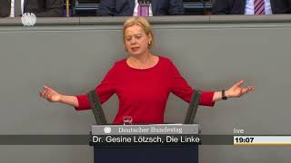 Gesine Lötzsch DIE LINKE Enorme Reichtumskonzentration spaltet das Land [upl. by Accire738]