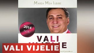 VALI VIJELIE  E BINE BINE FEAT NINEL DE LA BRAILA OFICIAL 2014 [upl. by Elbag]