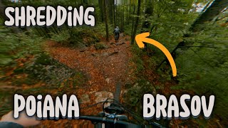 SHREDDING POIANA BRASOV [upl. by Gwenny]