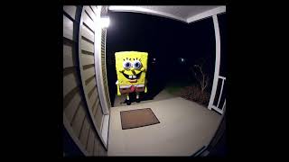 SpongeBobs at My Door song suno ai [upl. by Ahpla516]