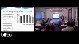 The Importance of Amino Acid Leucine Part 1 [upl. by Ha732]