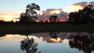 PÔR DO SOL AO CANTO DO BACURAU SONS E CORES DO ENTARDECER NO CAMPO RELAXAMENTO CAIPIRA CURIANGO [upl. by Econah]