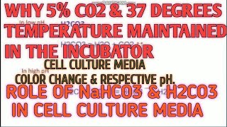 Why 5 CO2 and 37 degrees Temp maintained in the incubator II Xgene and proteinX [upl. by Egiaf]