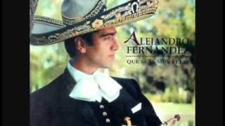 Alejandro Fernandez Que Seas Muy Feliz [upl. by Annabel]