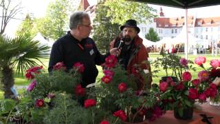 Gartentage Lindau 2012  Sind Pfingstrosen die besseren Rosen [upl. by Aihsar]