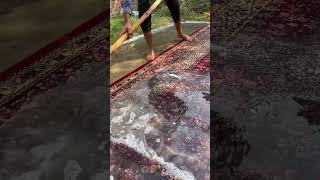 Carpet cleaning satisfying asmr asmrsounds kashmir carpetcleaning CONTACT ON 7889928960 [upl. by Noivart]