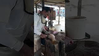 INCREDIBLE BARRAMUNDI FISH CUTTING fishcuttingskillssrilankashorts [upl. by Yznel]