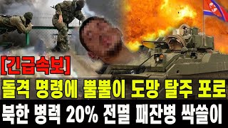 긴급속보 북한 병력 20 전멸 패잔병까지 싹쓸이 3일간 200명 사망돌격 명령에 뿔뿔이 도주 탈출 포로 급증 [upl. by Relyc]