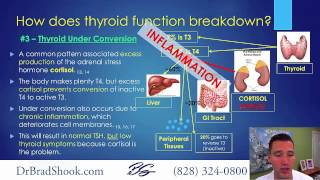 Natural Support for Hashimotos and Low Thyroid Conditions  Dr Brad Shook [upl. by Stets]