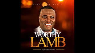 Worthy Lamb Official Lyric Video [upl. by Anne-Marie]