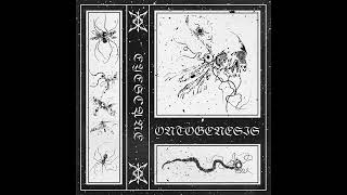 EYESCANE  Ontogenesis Full EP [upl. by Whitby185]