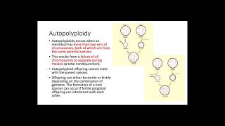 Polyploidy [upl. by Camilla28]