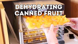 Dehydrating Canned Fruit [upl. by Ong895]