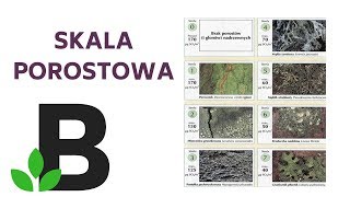 Skala porostowa EKOLOGIA matura  ekologia  KOREPETYCJE z BIOLOGII  124 [upl. by Nicola495]