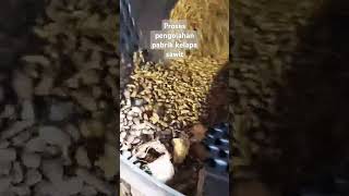 Proses pengolahan kelapa sawit galerisawit fyp fypシ゚viral fypシ゚ fypyoutube [upl. by Alleinnad467]