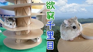 【DIY Guide】Hamster Spiral Tower 3 倉鼠螺旋觀光塔 爬到塔頂享受美食的涼快鼠 [upl. by Schuyler]