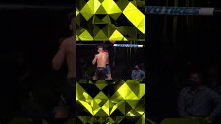 Fastest UFC Finish in History Blink and You’ll Miss It PART 6 [upl. by Frye354]